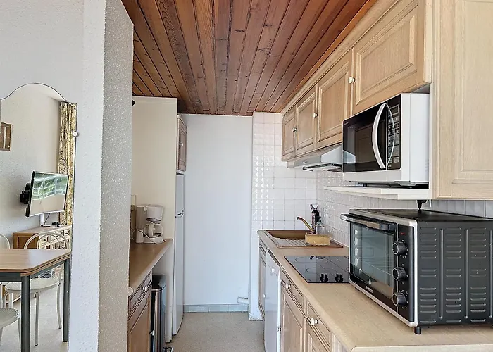 Apartament T2 Avec Terrasse, Climatisation Et Parking - Fr-1-715-22 Mauguio